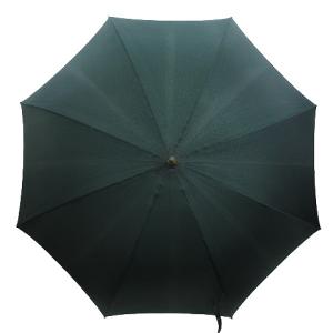 M70117 タイガライン パラプリュイ 傘 アンブレラ 緑 グリーン AA