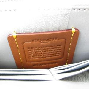 COACH C4815 ヘイデン クロスボディバッグ ブルー