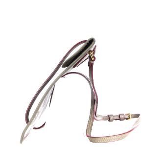 LOEWE ショルダーバッグ 鞄 カバン 斜めがけ アナグラム 総柄 薄型 グレー