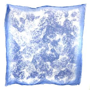 Max Mara ストール マフラー 大判 花柄 フラワー フリンジ ブルー SM0