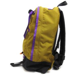 GREGORY FINE DAY ファインデイ リュックサック デイパック ブロンズ パープル