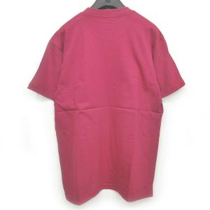 Supreme 21SS Butthole Surfers Rembrandt Pussyhorse Tee S