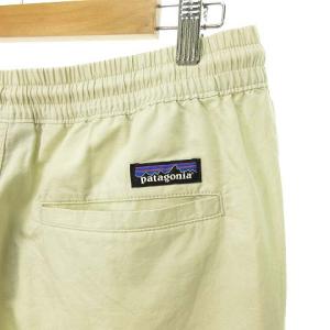 Patagonia 55515 SP20 20SS Lightweight AllWearHempVolleyPants