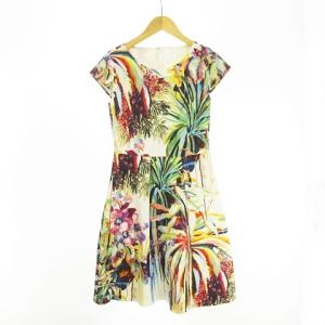 ワンピース ペイント調 フラワープリント 花柄 フレンチスリーブ × ボックスプリーツ ストレッチ マルチカラー IBO33