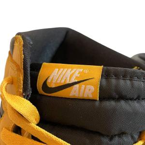 NIKE AIR JORDAN1 HIGH OG POLLEN ハイカット スニーカー イエロー