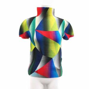 19AW ボックスプリーツ カットソー ハイネック 半袖 マルチカラー