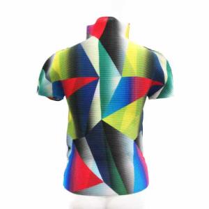 me ISSEY MIYAKE 19AW ボックスプリーツ カットソー ハイネック 半袖 マルチカラー