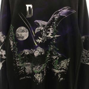 DIESEL タグ付き カットソー Tシャツ USED加工 ダメージ加工 プリント 長袖 L チャコールグレー