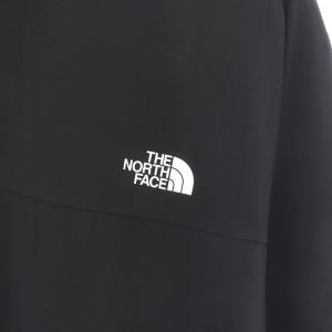 THE NORTH FACE エイペックスフレックスクルー APEX Flex Crew Tシャツ カットソー 長袖 クルーネック ロゴプリント 大きいサイズ