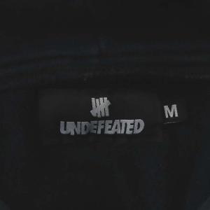 UNDEFEATED × ステューシー STUSSY × HECTIC ヘクティク パーカー プルオーバー ロゴ M 黒 ブラック 紫 パープル