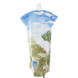 Lois CRAYON ワンピース ひざ丈 フレンチスリーブ 総柄 風景の絵 M 青 ブルー