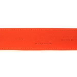 D&G ベルト ハトメ レザー ロゴバックル 85 オレンジ HC5FJ1