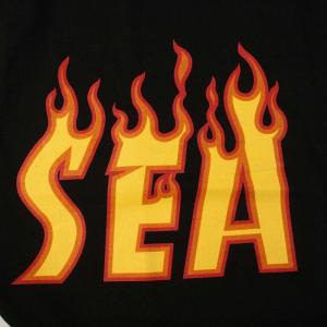 WIND AND SEA スラッシャー THRASHER magazine WDS flame S/S TEE Tシャツ カットソー
