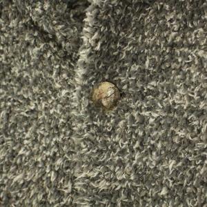 BAREFOOT DREAMS ロンハーマン Ron Herman 七里ヶ浜OPEN記念 ニットカーディガン ショールカラー 長袖 RHC刺繍