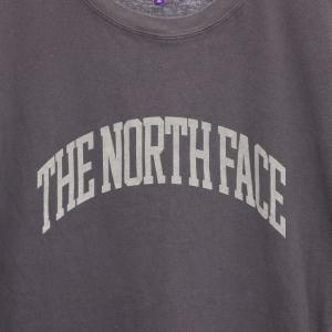 THE NORTH FACE PURPLE LABEL ハーフスリーブグラフィックT H/S Graphic Tee カレッジTシャツ カットソー クルーネック