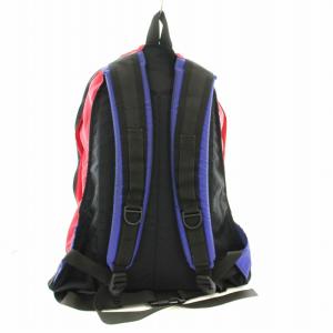 GREGORY リュックサック バックパック ナイロン 赤 紫 パープル /G