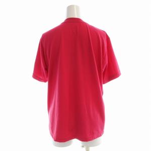 THE NORTH FACE 白馬限定Tシャツ カットソー 半袖 L ピンク NTW3160Y /EE