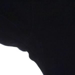 ANATOMICA 618 コーデュロイパンツ ストレート 39 ネイビー /YM