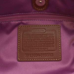 COACH アシュレイ キャリオール ショルダーバッグ ハンドバッグ 2way レザー 茶 ブラウン F15513