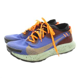 NIKE PEGASUS TRAIL 2 GORE-TEX 2COLORS