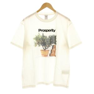 PHENOMENON Prosperity Tシャツ カットソー 半袖 クルーネック プリント L 白