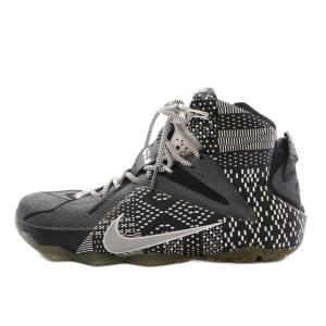 LeBron 12 BHM Black White Metalic Silver