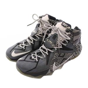 NIKE LeBron 12 BHM Black White Metalic Silver