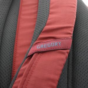 GREGORY SATUMA26 リュックサック バックパック ナイロン 赤 レッド /AN3