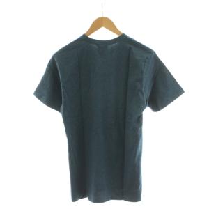 Patagonia Tシャツ カットソー 半袖 S 青 ブルー /AN45