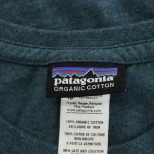 Patagonia Tシャツ カットソー 半袖 S 青 ブルー /AN45
