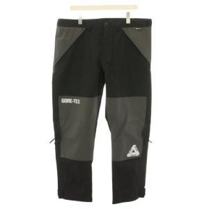 WAVE-LENGTH PANT ナイロンパンツ GORE-TEX