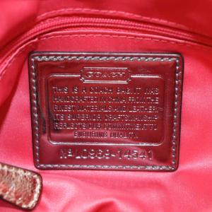 COACH シグネチャー ポピー ショルダーバッグ ハンドバッグ 2way スパンコール ベージュ 14541 /AN4