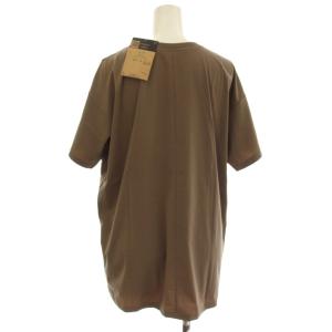 THE NORTH FACE Windflo Tee Tシャツ M ブラウン 無地 ラウンドネック 半袖 /JP