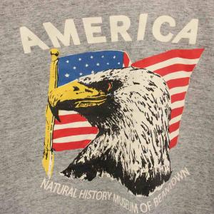 Shinzone Tシャツ カットソー 半袖 AMERICA プリント F グレー 19SMSCU90 /HN
