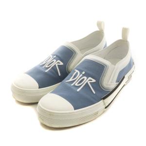 Dior ×Stussy DIORANDSHAWN B23 スリッポン 43 ライトブルー