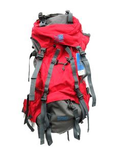 cougar40-55 リュックサック バッグパック グレー 赤 レッド