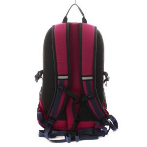 Columbia キャッスルロック 20L リュックサック バックパック ナイロン グレー ピンク