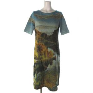 22AW GBAAS-01630 ランドスケープ ニットワンピース 膝丈 5分袖 M  ブルー