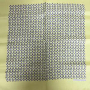 HERMES 美品 カレ40 プチカレ ミニカレ 鎖柄 スカーフ ハンカチーフ シルク100% フランス製 グリーン AA