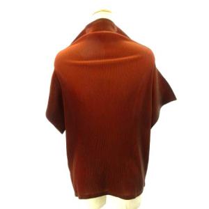 PLEATS PLEASE ISSEY MIYAKE プリーツカットソー ハイネック ドルマンスリーブ PP23-FK705 ブラウン 3 約M