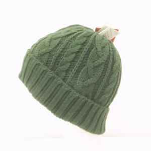THE NORTH FACE タグ付き ケーブルビーニー ニットキャップ ケーブル ロゴピス NN41520 緑 グリーン