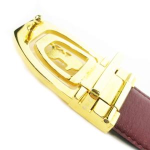 CELINE レザーベルト バックル  馬車バックル ゴールド金具 黒 ブラック /AO7 GY01