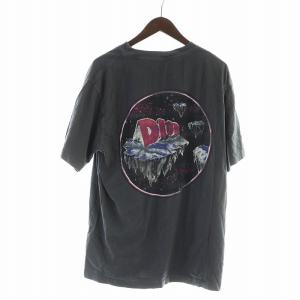 23AW アステロディオールプリント Tシャツ カットソー 半袖 ロゴ L グレー 393J696D0817