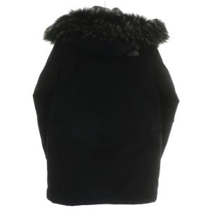 THE NORTH FACE CARSON DOWN PARKA