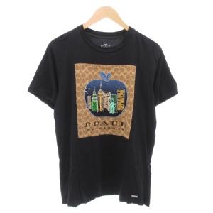 シグネチャー Tシャツ S 175/96A 刺繍 ロゴ プリント 半袖 黒 ブラック /AE GY44