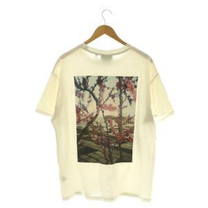 Photo Tee Tシャツ カットソー バックプリント ロゴ  S ホワイト /CX GY01