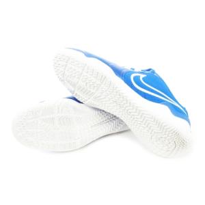 NIKE DV4341-400 ティエンポ レジェンド 10 アカデミー IC スニーカー