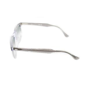 Ray-Ban EAGLEEYE サングラス アイウェア 眼鏡 グラデーションレンズ セルフレーム ユニセックス 男女兼用