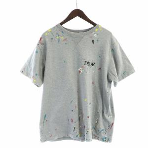 05AW エディ期 Tシャツ カットソー 半袖 THE ENDプリント