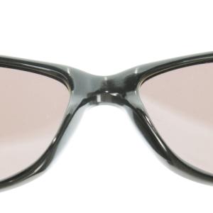 FENDI サングラス アイウェア セルフレーム FFロゴ 茶 ブラウン SL7530 /AO4 GY18